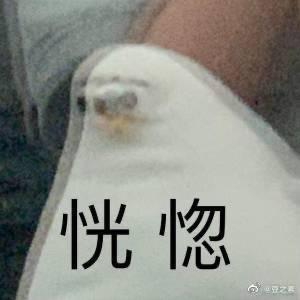 兜兜阿都都