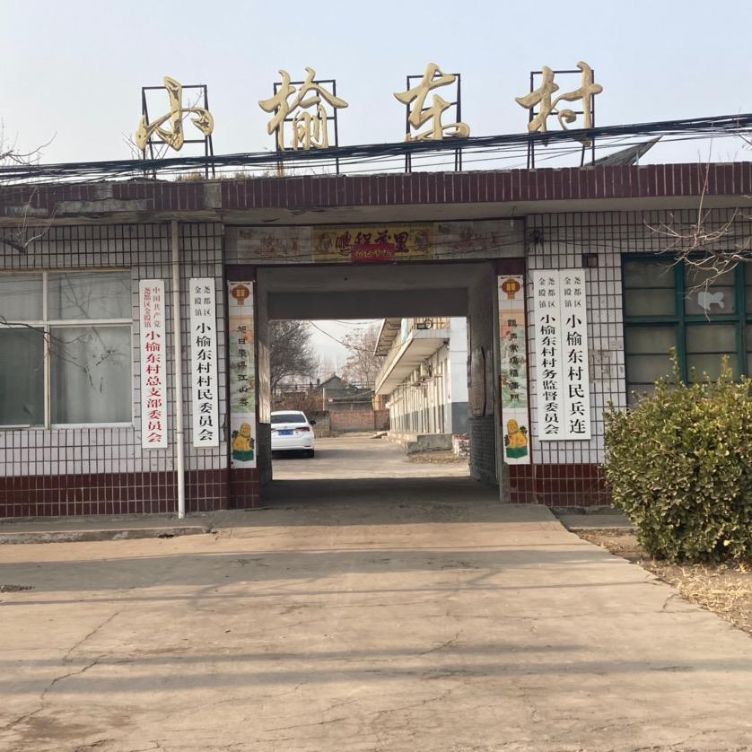 🇨🇳小榆东村的日常