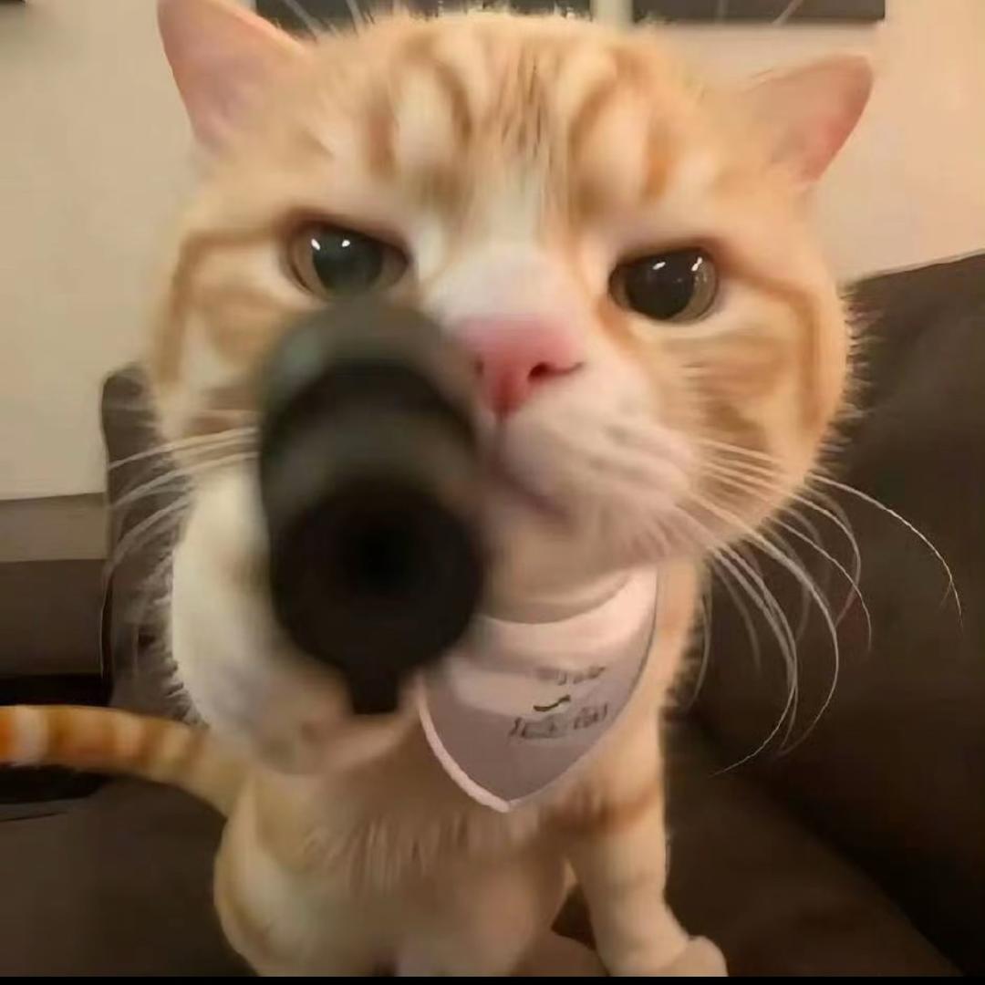 源愿