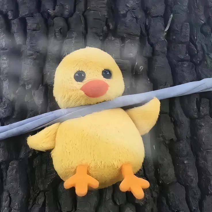 小帥