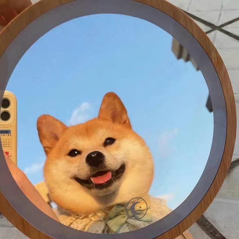 天天吃包子