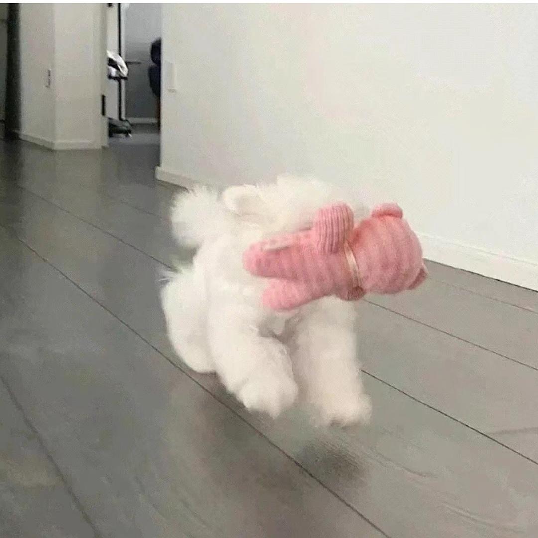 恒大华府运动中心宇