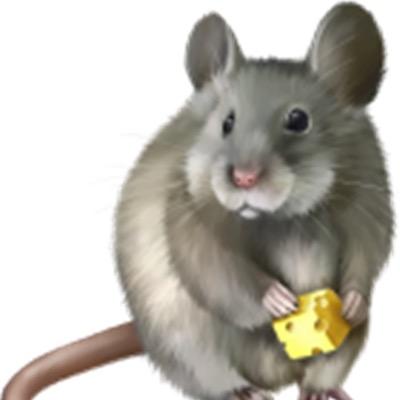 南海玄海大师（视频挂件进橱窗）