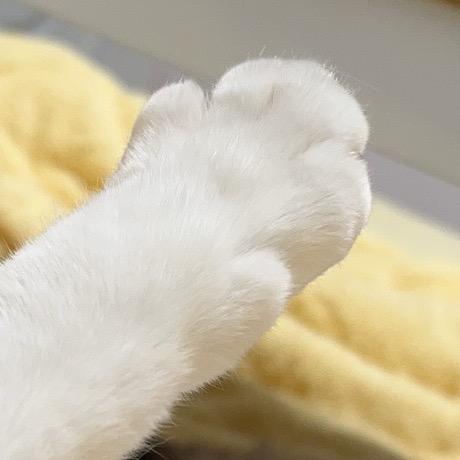 在下毒妇有何贵干