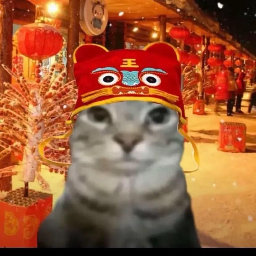 凌晨六点准时练球