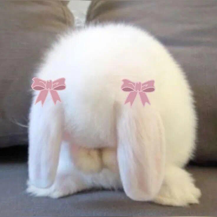 止泻药