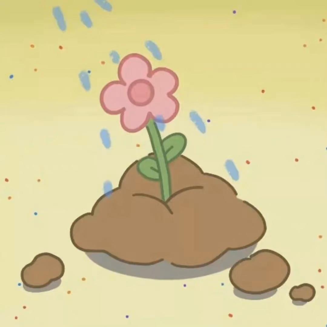 去见枫叶咯