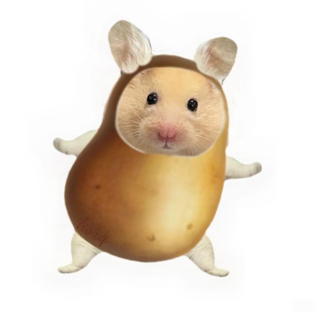 小土豆🥔