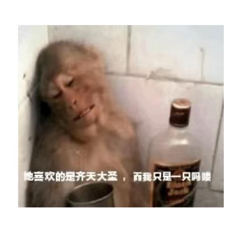 表弟✓