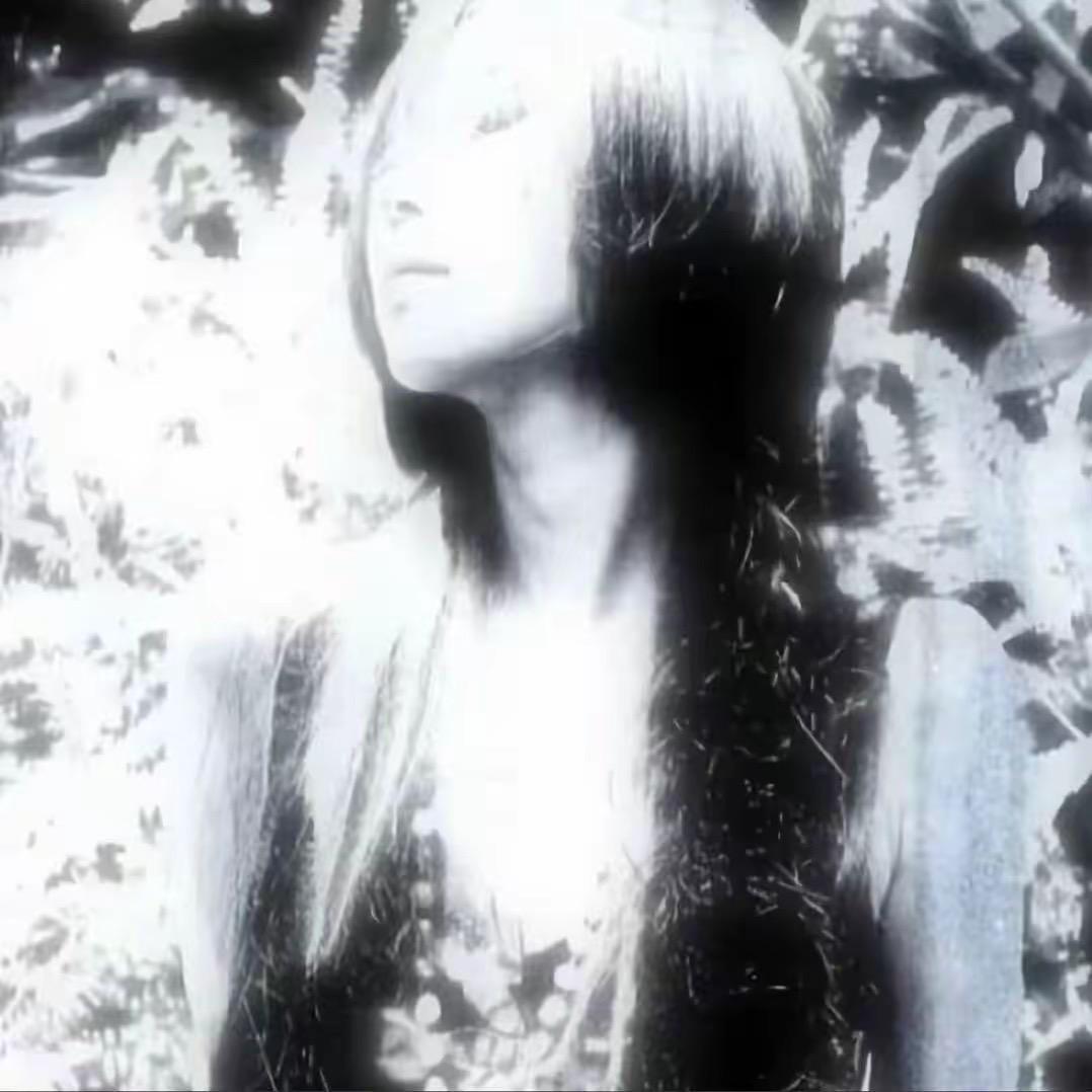 黒京棘.