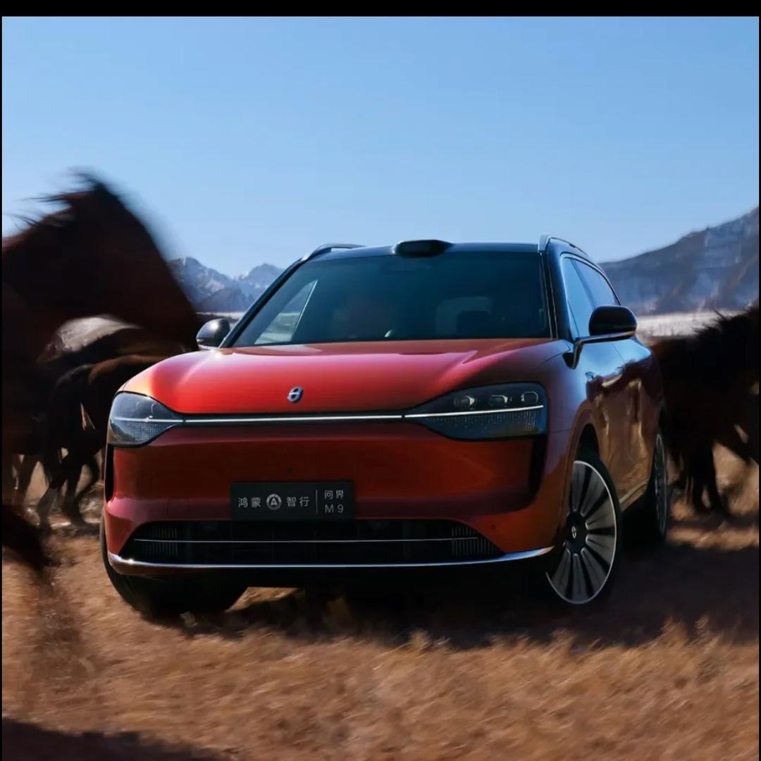 赛宝向前冲