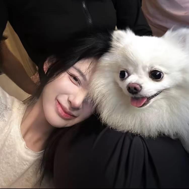 普通鱼｜