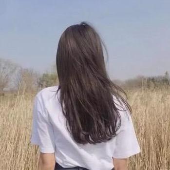 小蘑菇🍄🟫