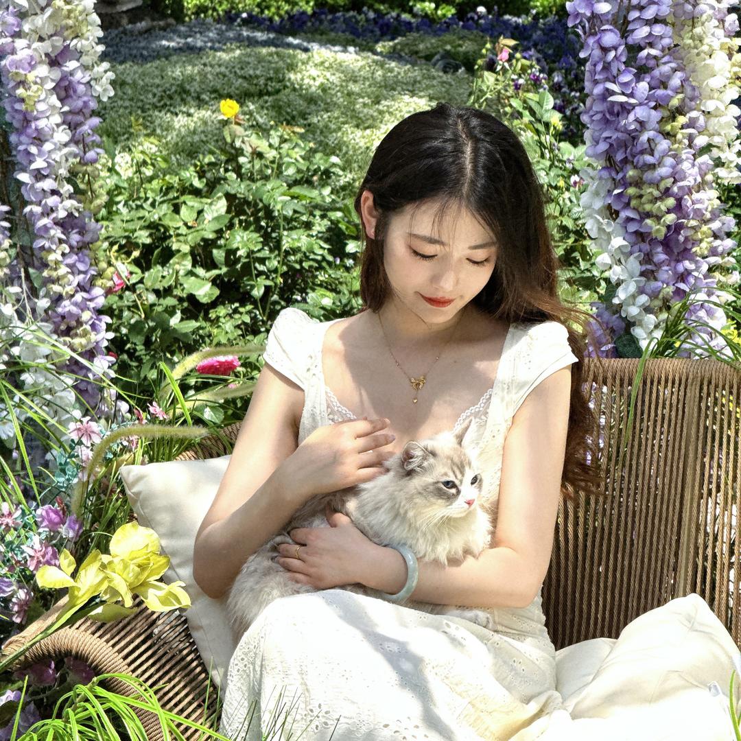 什么阿猫阿狗