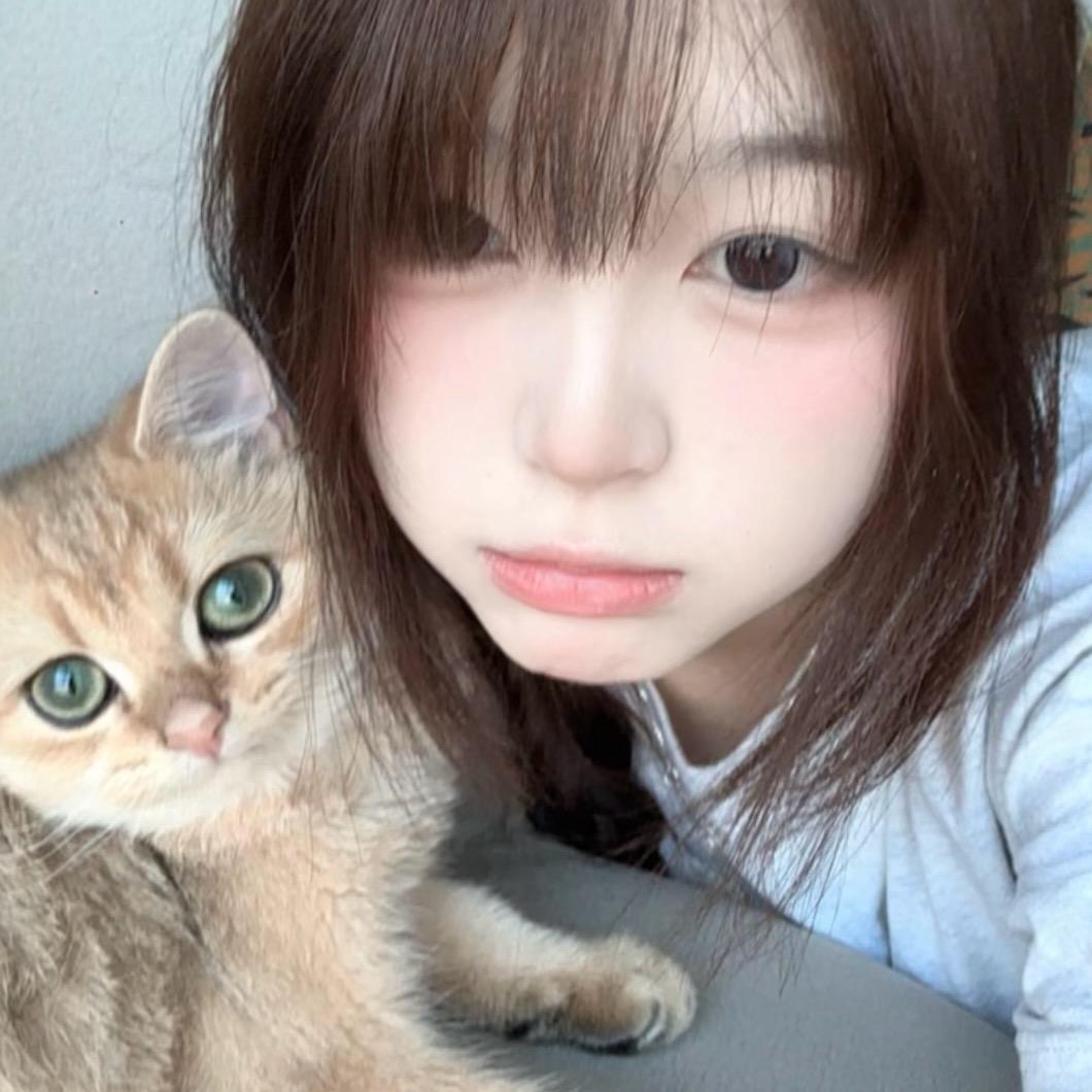 丢失的小猫