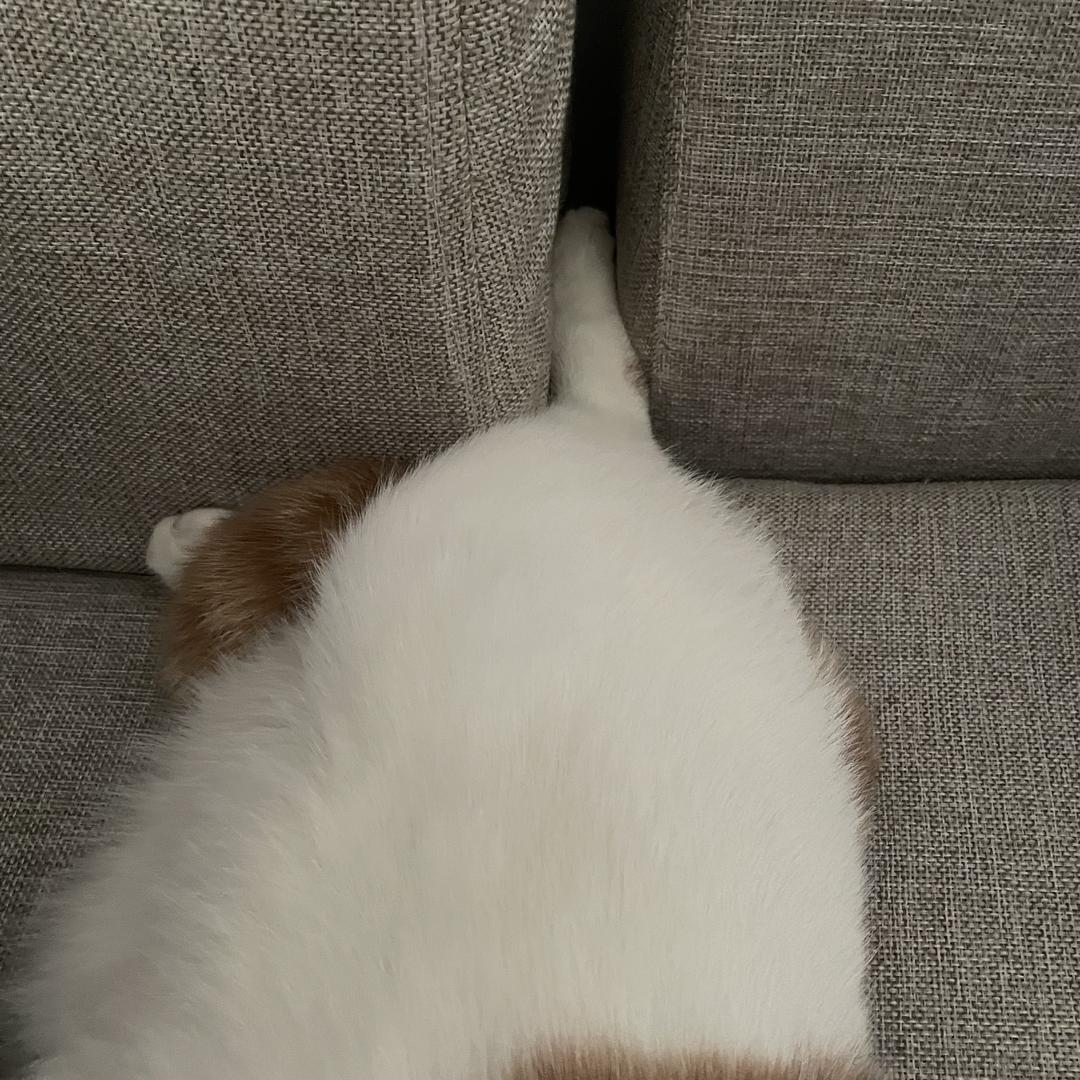 Leeeeee