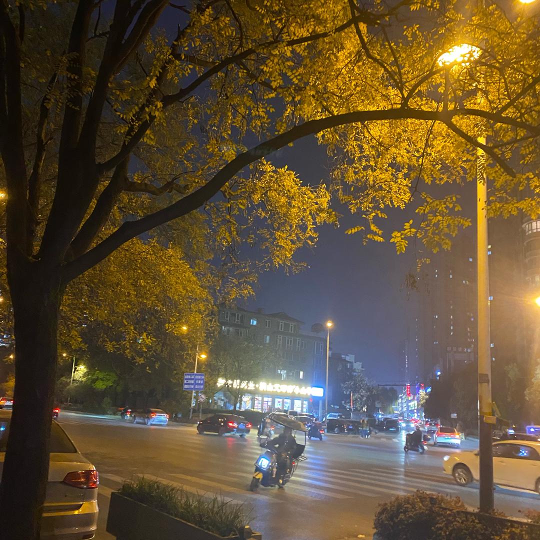 岁岁欢愉～