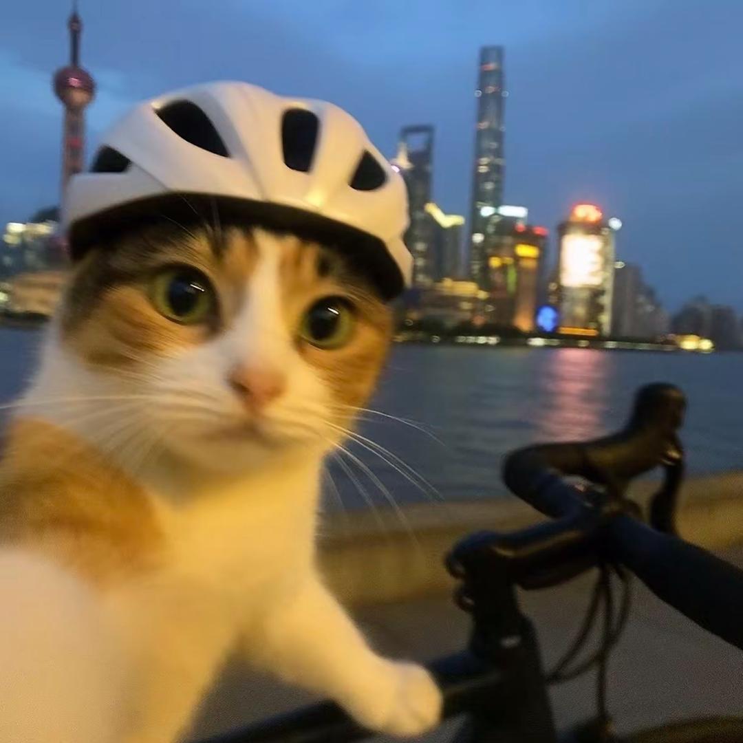 郝景
