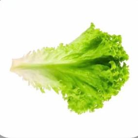 水煮生菜