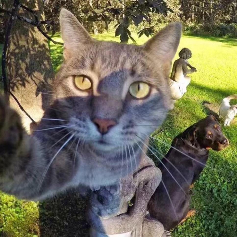 🍂晚风抚你也挽风