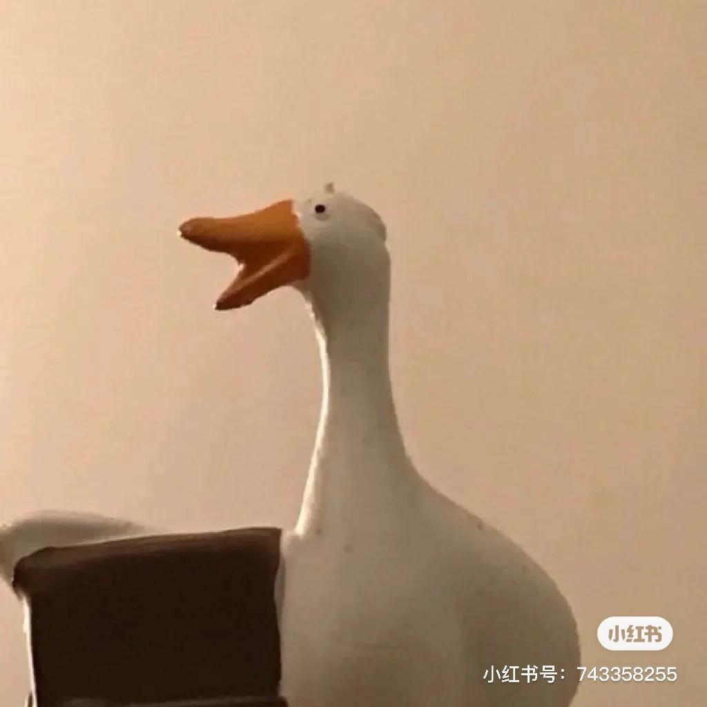 咿呀咿呀哟
