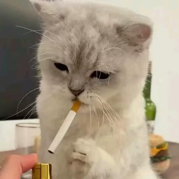 开心超人，