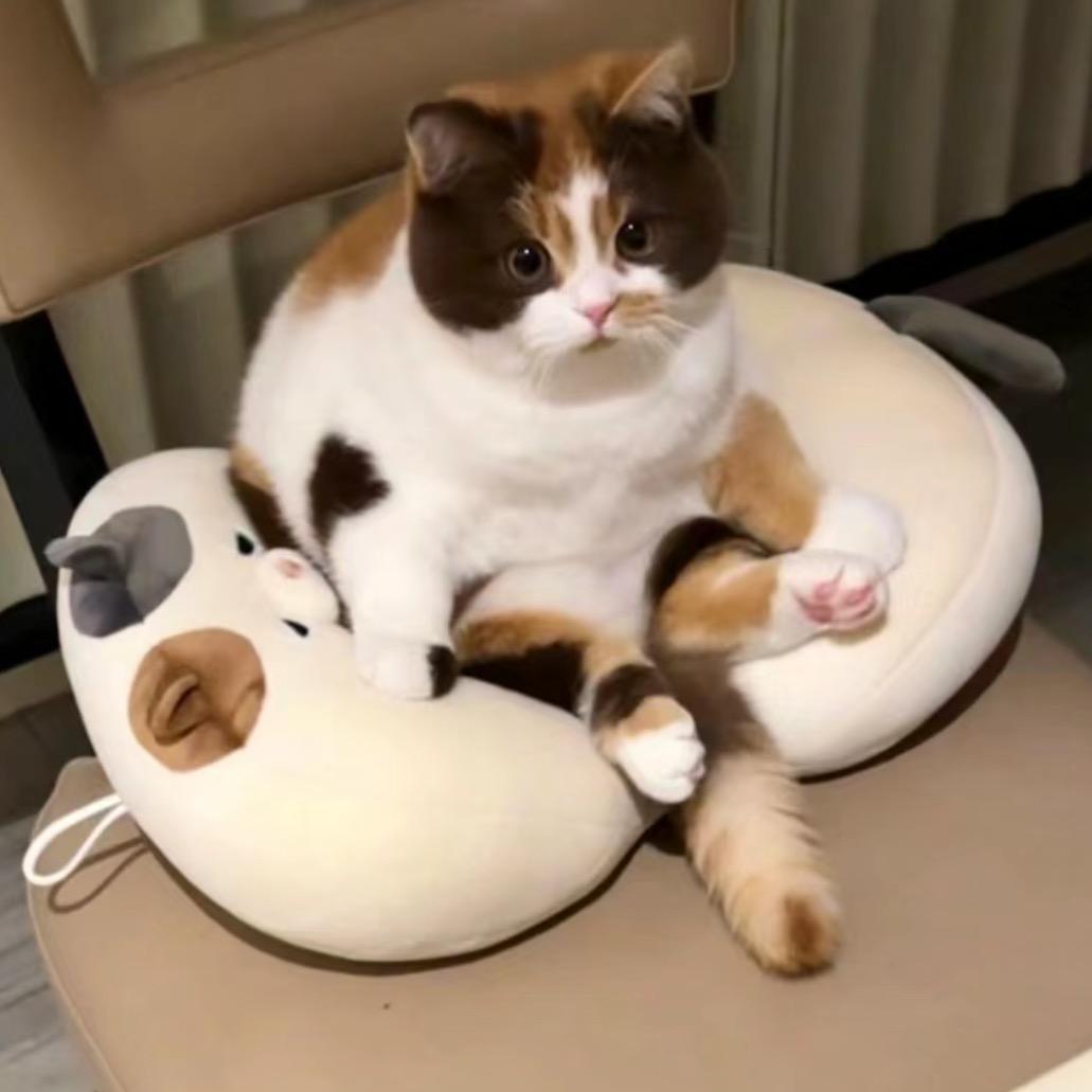 kitten33