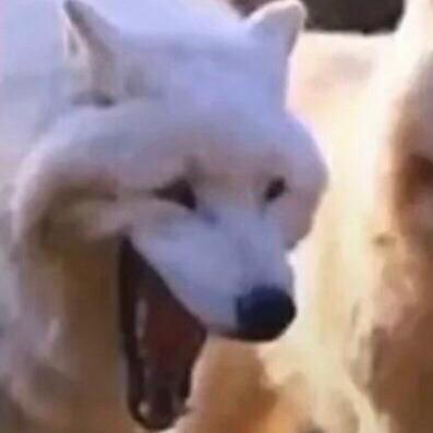 荒i