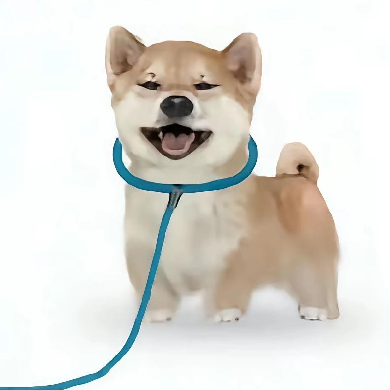 在我家老婆的话大于刑法