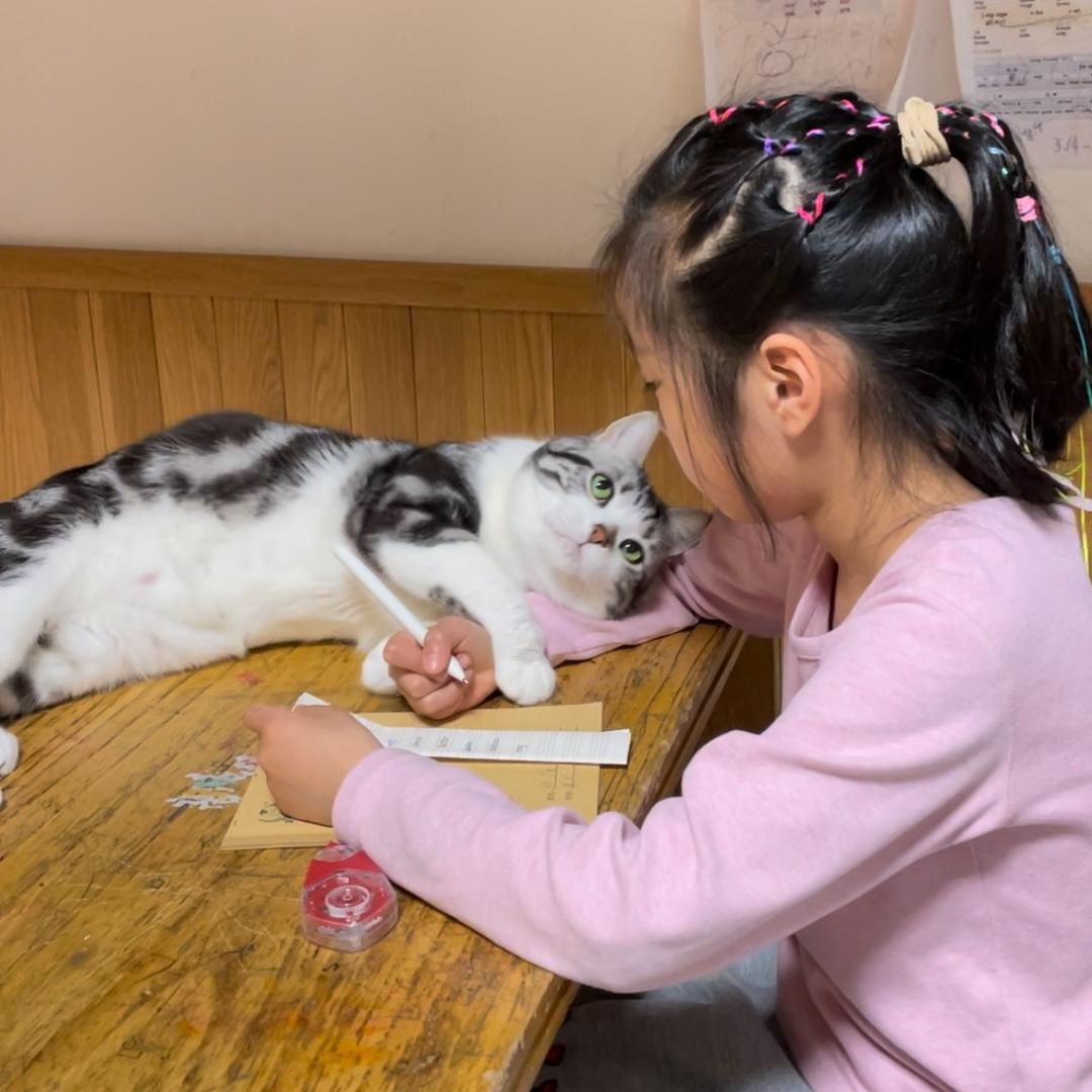 大头有猫腻