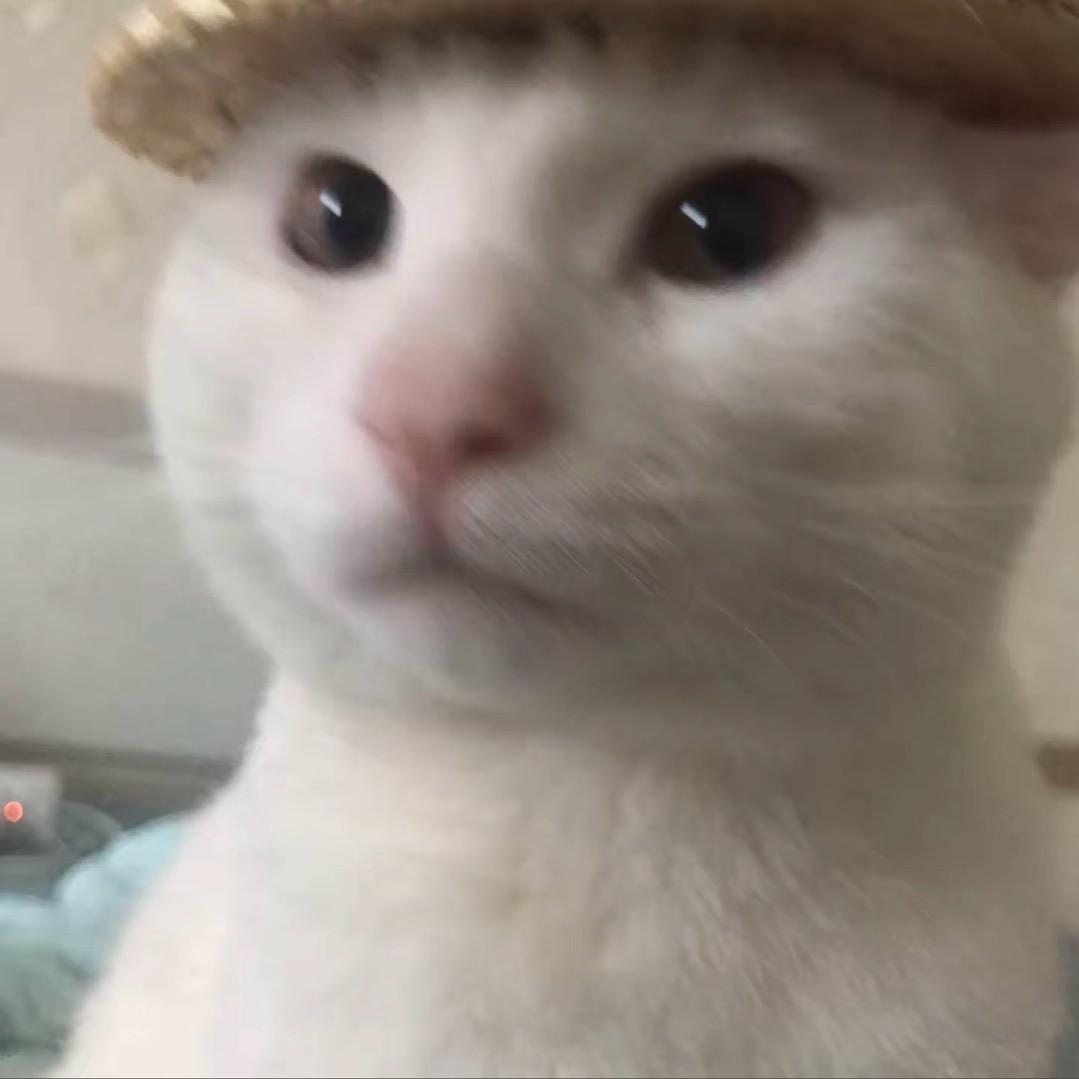 所幸