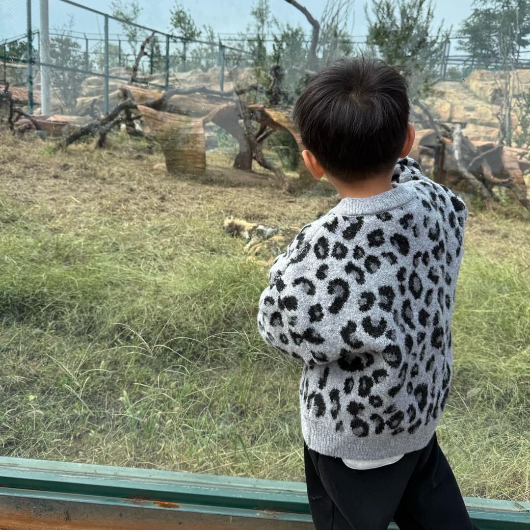 啊biu～ʕ•̫͡•ʔ