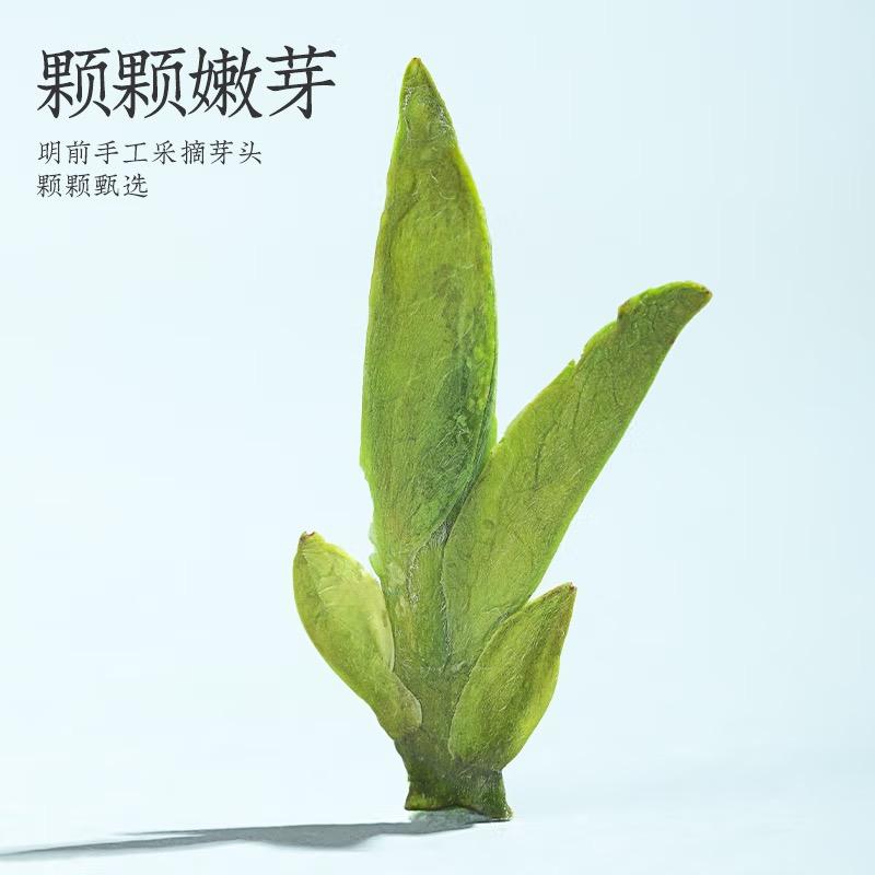亮逸