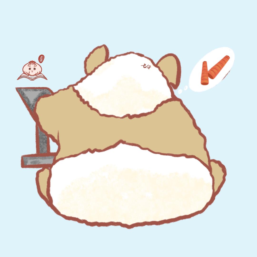 包包怪的打卡日记