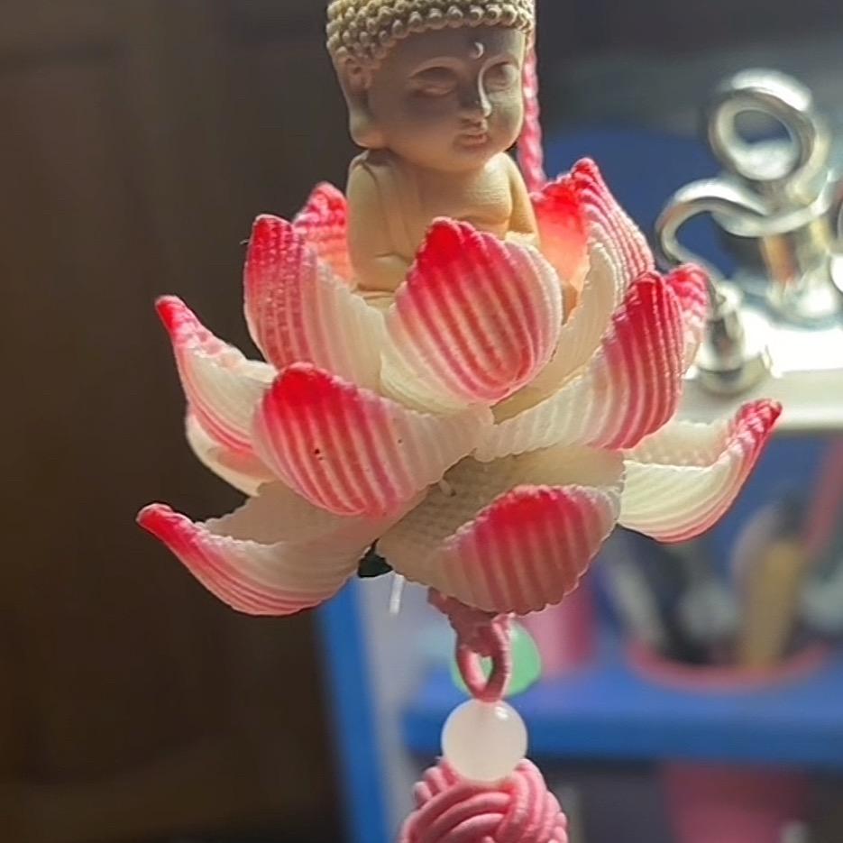 清净互关必回