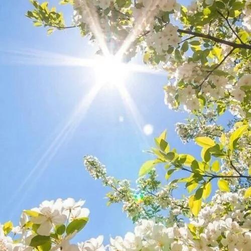 旭日阳光☀️