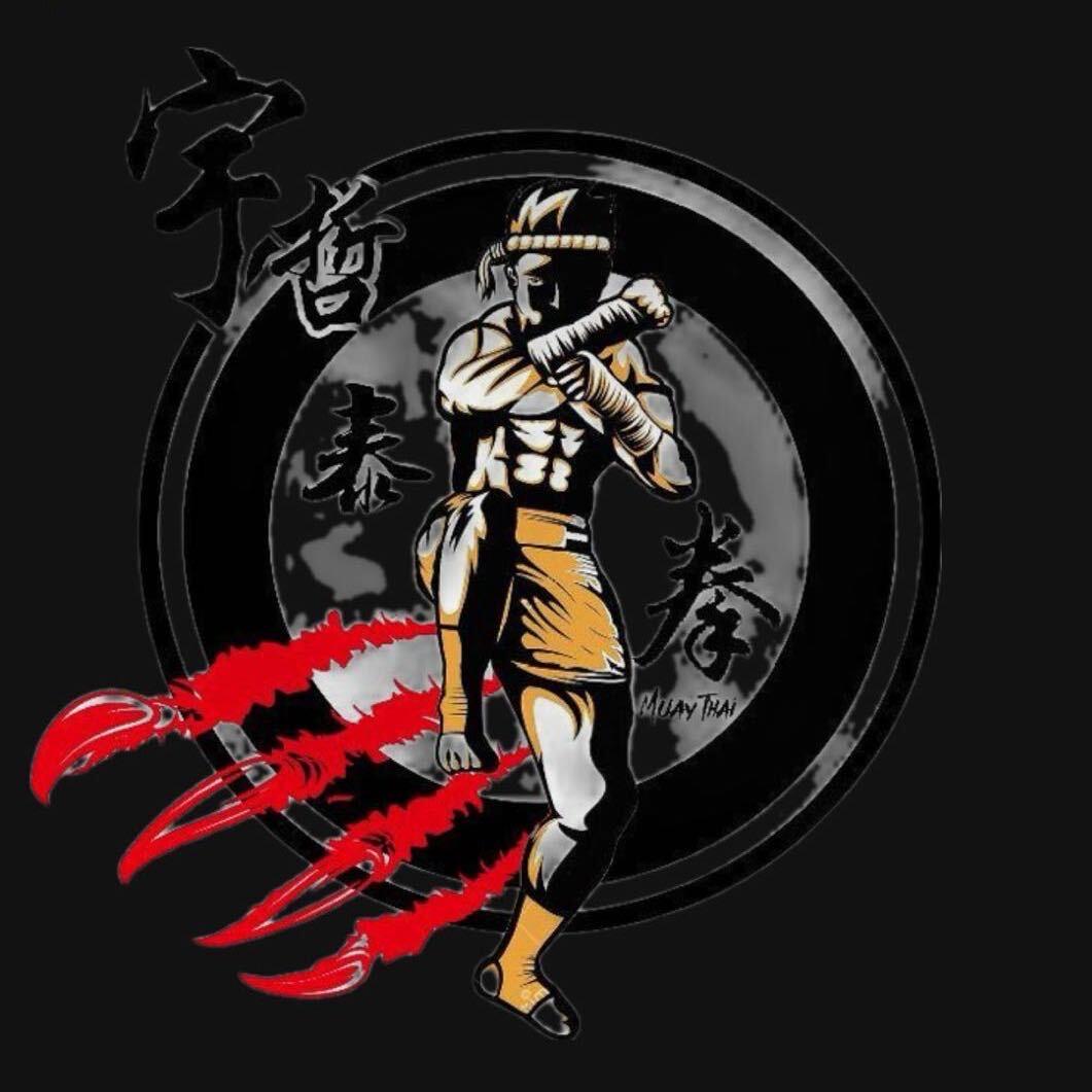 抚顺宇哲泰拳