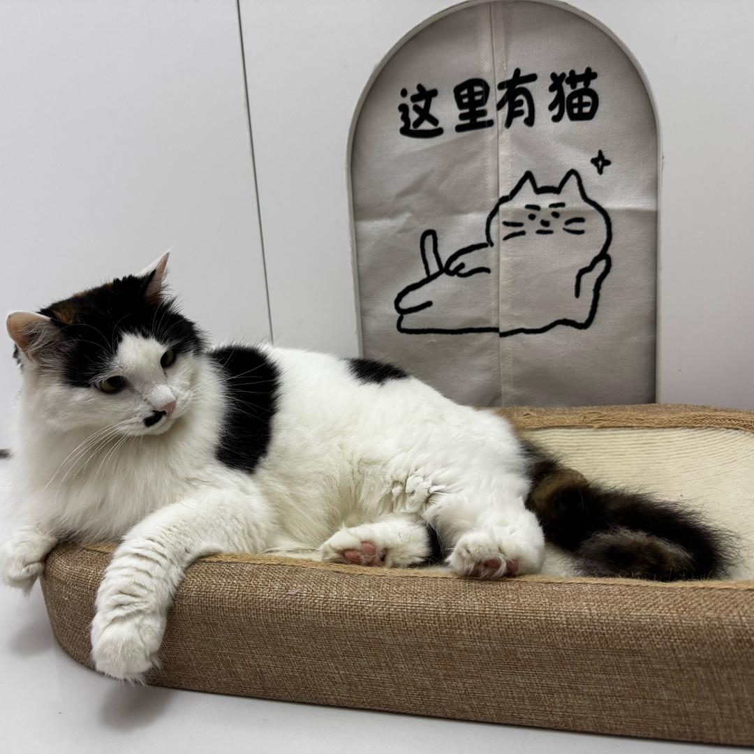 柚子超超超可爱