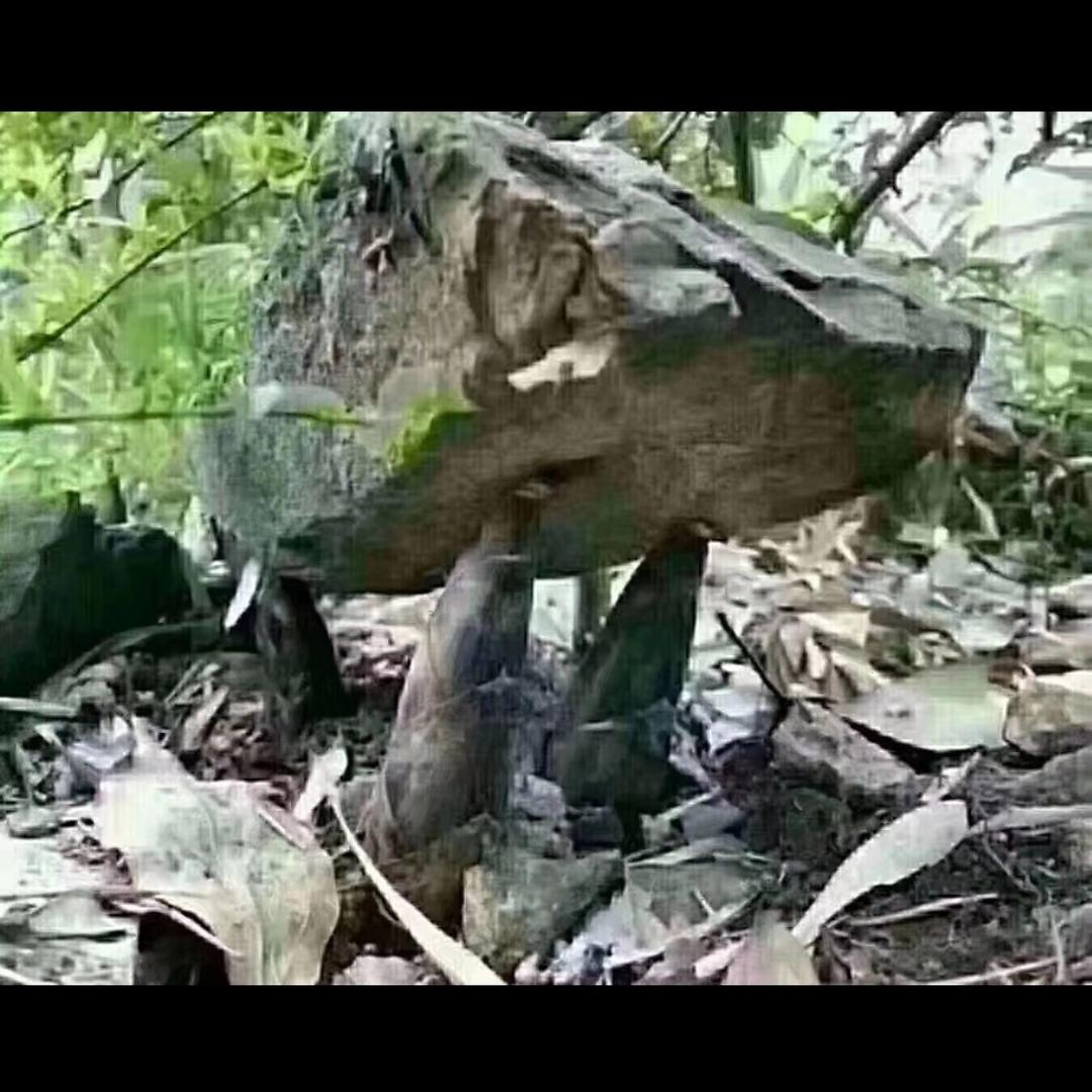 平步青云
