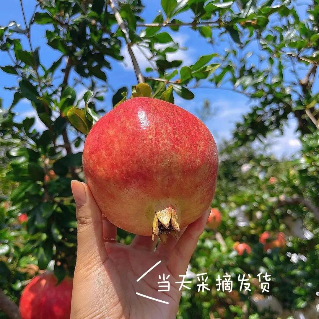 禾骊生鲜（全品类石榴季）