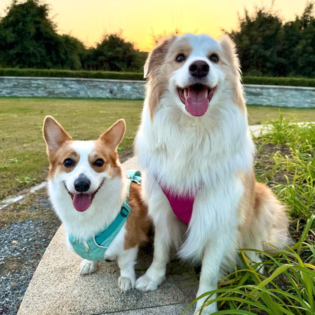 爱德华&CoCo