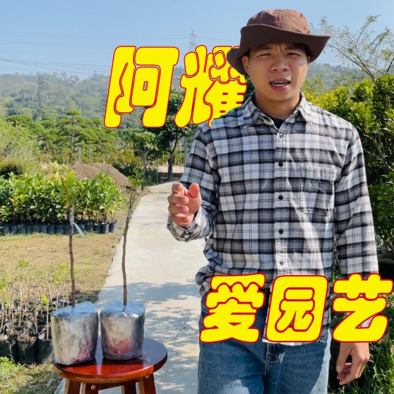 阿耀爱园艺