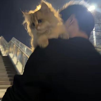 晚来风