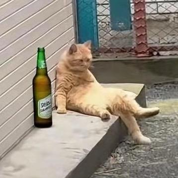 @_@