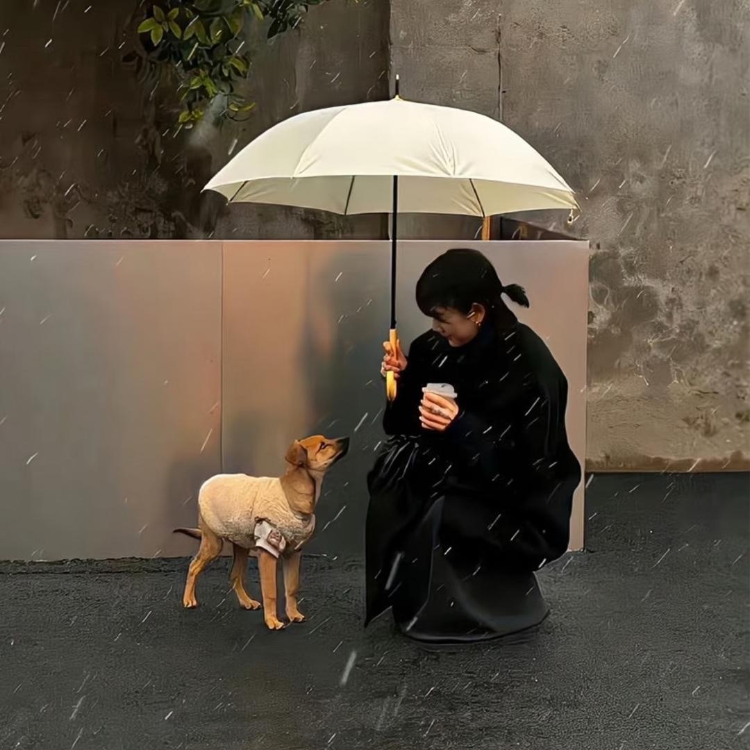 美式阿