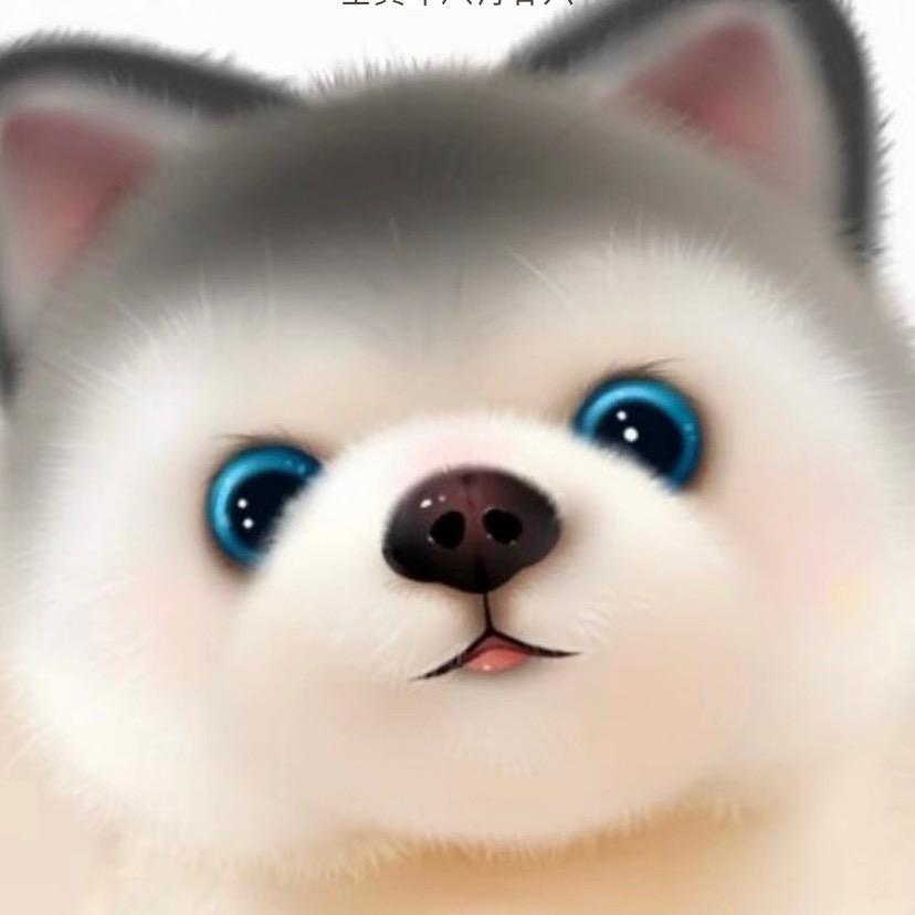 张无忌