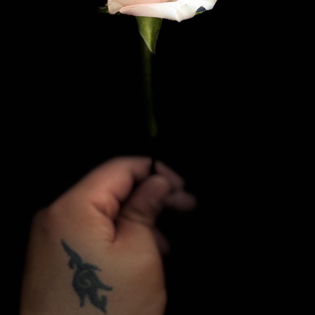 成帆园艺创意生活坊