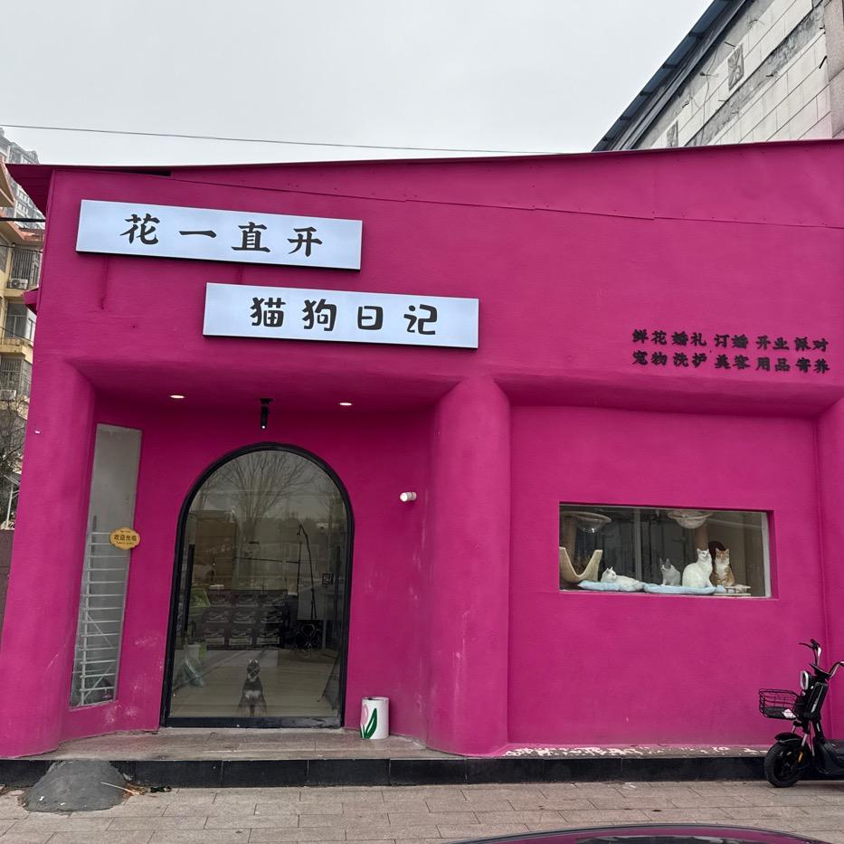 重生之我在东明开家宠物店