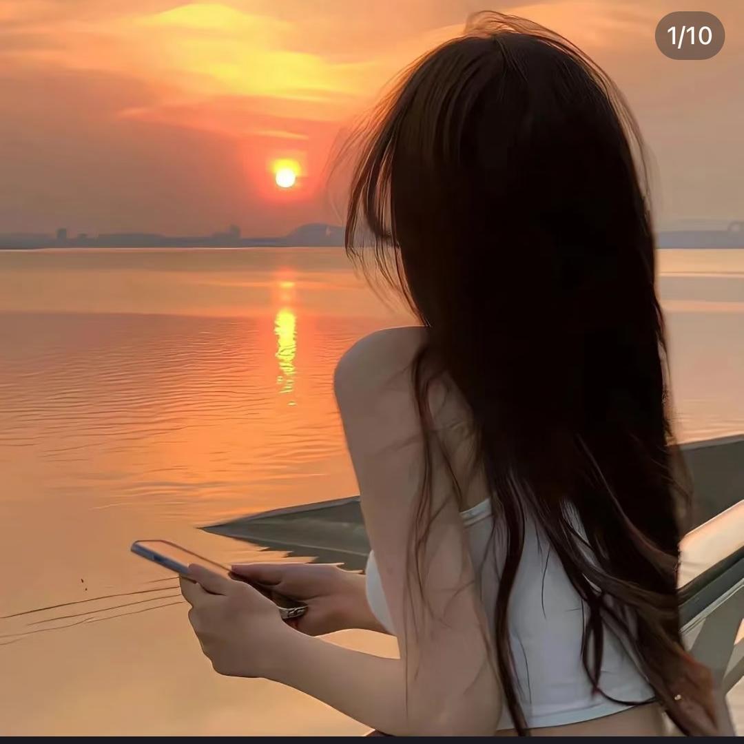树上有只🐶