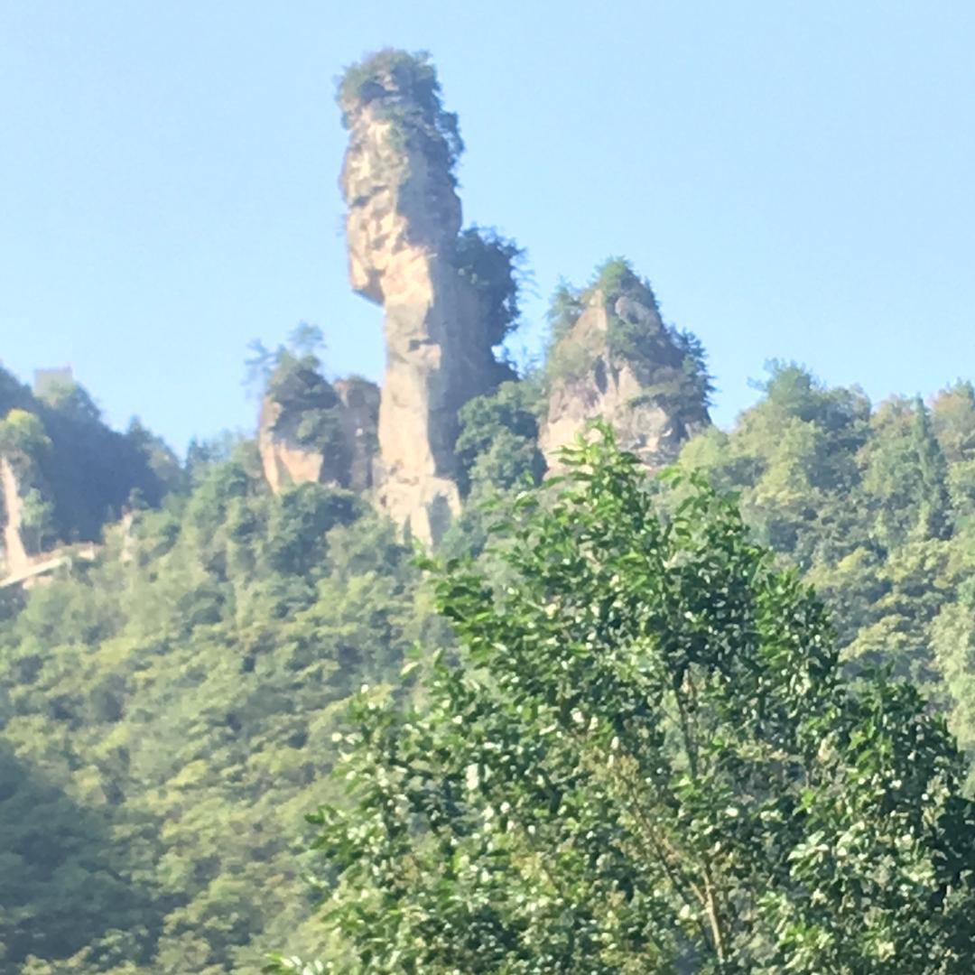 啊清